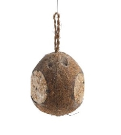 Kokosnød med fedt - med 3 åbninger - ca. 480 gram